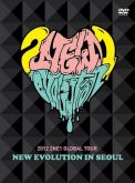2NE1 - Global Tour Live New Evolution in Seoul